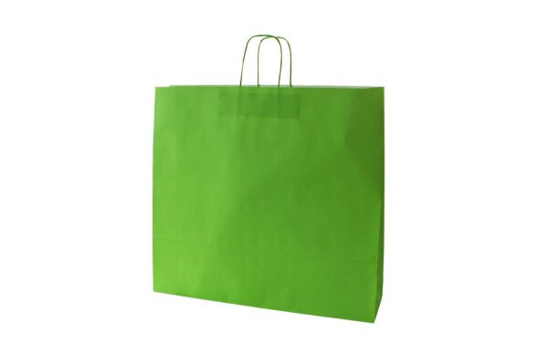 Papiertragetaschen mit Kordel, 120 g/qm, 54 + 14 x 50  cm, hellgrün, (eco-verde), 10 Stück