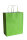 Papiertragetasche mit Kordel, 110 g/qm, 18 + 8 x 24 cm, "Verde Chiaro / Hellgrün" 10 Stück